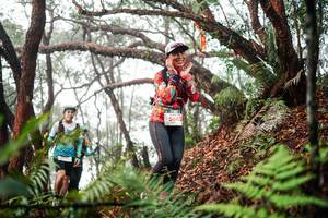 BIB: 
                            <button type="button" onclick="openModal(26299186)" class="btn btn-primary btn-sm float-right btn-popup" data-toggle="modal" data-target=".modal-high-quality">
                        <i class="fas fa-shopping-cart"></i> Add to Cart
                    </button>
                                            <button type="button" onclick="isThisMe(26299186, true)" class="btn btn-success btn-sm float-right btn-popup btn-isme hidden" data-toggle="tooltip" data-placement="bottom" title="นี่คือรูปของคุณใช่ไหม คลิกที่นี่เพื่อเอาเข้าอัลบั้ม">
                        <i class="fas fa-plus"></i> Add to album
                    </button>
                    <button type="button" onclick="isThisMe(26299186, false)" class="btn btn-warning btn-sm float-right btn-popup btn-isnotme hidden">
                        <i class="fas fa-ban"></i> Remove from album
                    </button>